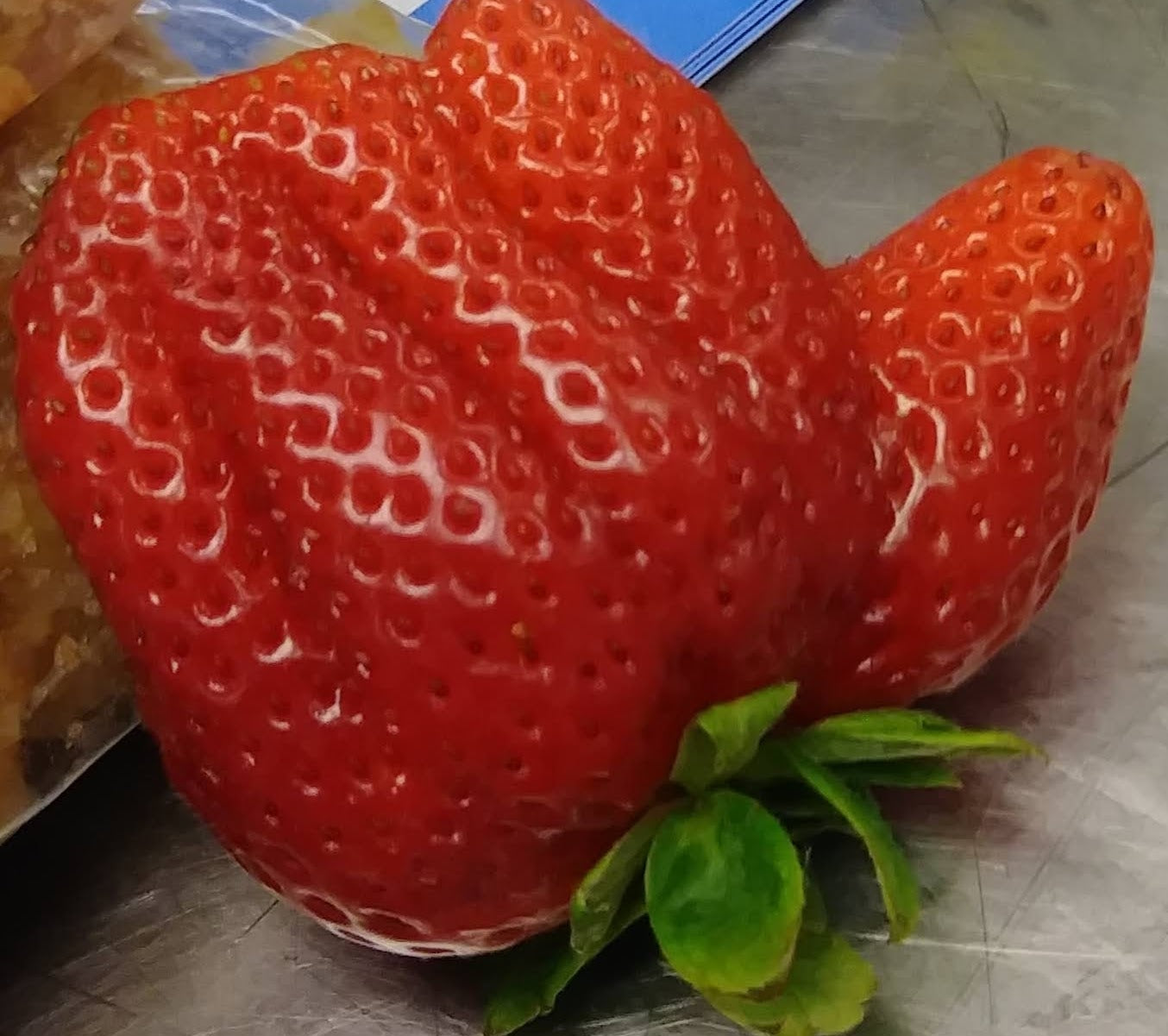 Melons & Berries